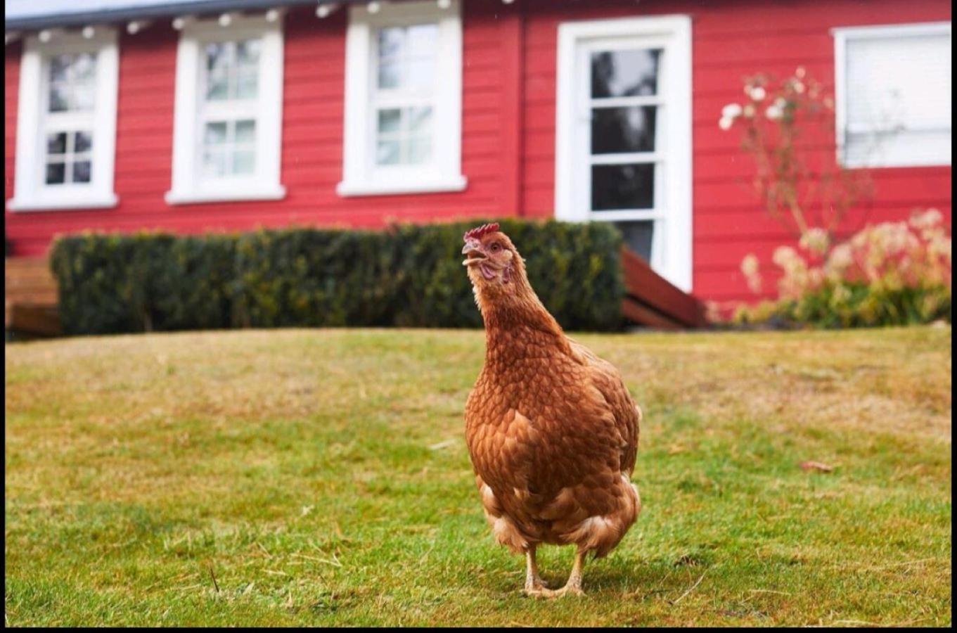 Little Red School House Villa อามารู ภายนอก รูปภาพ